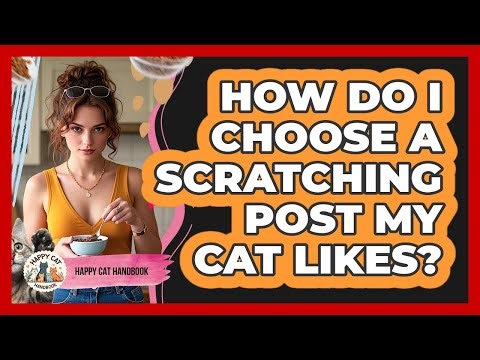 How Do I Choose A Scratching Post My Cat Likes? - Happy Cat Handbook