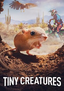 Tiny Creatures Season 1 - watch episodes streaming online