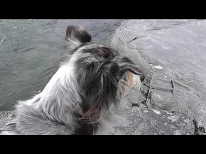 2018.06.15 EURO-Trip 2018 LAPPLAND: Im Canyon der Grautöne