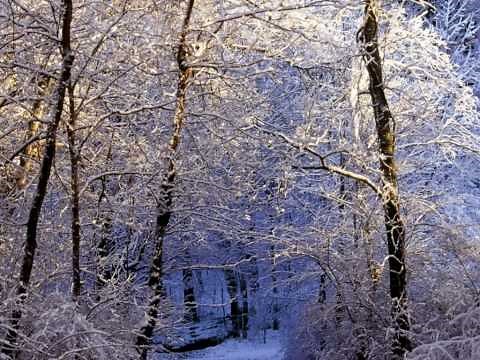 Old Tennessee ~ Dan Fogelberg [ CC ]