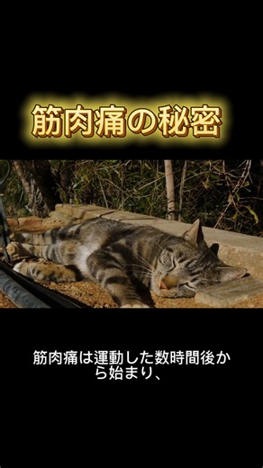 筋肉痛はなんで次の日に来るの？