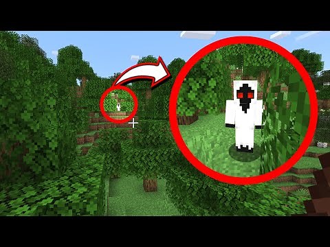 Entity 303 Sighting 2024