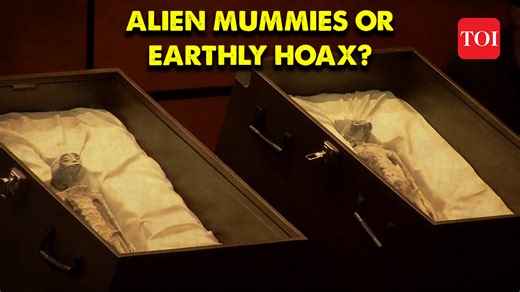 11 reactions · 3 comments | Peruvian officials quash speculation around "alien mummies" found at Lima's airport, identifying them as dolls crafted from animal bones and synthetic glue. The discovery, sparking wild theories, parallels similar incidents in Mexico dismissed as fraud. | The Times of India | Facebook