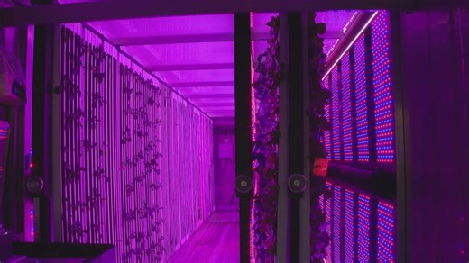 ComEd gives glimpse into shipping container pods aimed at improving urban farming