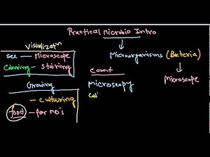 Microbiology practical introduction - lab, culture media, culture techniques