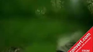 1990 The Trials of Life 04 Hunting and Escaping