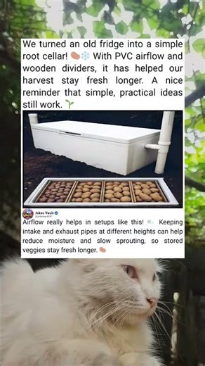 Old Fridge Turned Into A Simple Root Cellar Storage