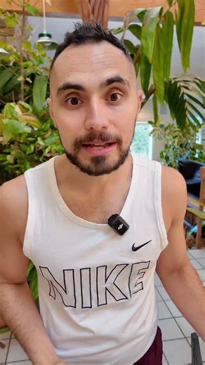 Alex Calamia | What do you do when your house is too small for your plants!? I’m about to find out. My rare palm tree hit the ceiling and TURNED RED!... | Instagram