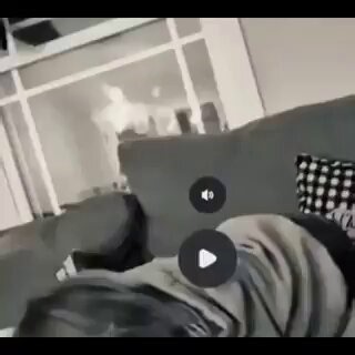 "X" advise this that is AI generated and not to be real.