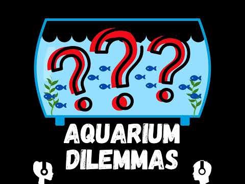 Easy Aquarium Fish