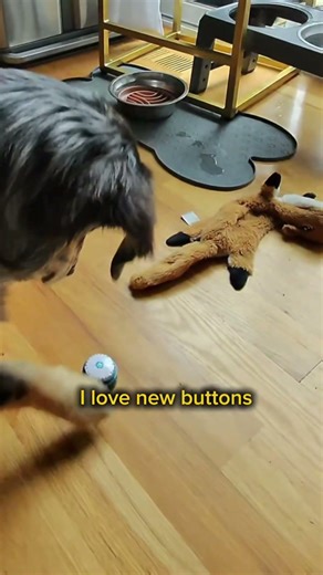 How I got new buttons!!
