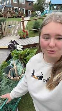 Alaska grown vegetables