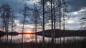 Sibelius' Fourth Symphony: Probing Psychological Depths