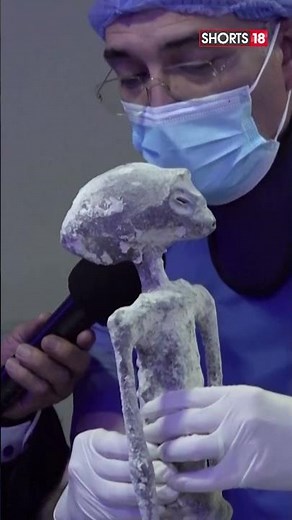 Mexico News Today | Mexico Doctors X-Ray Non Humans Remain | English News | N18S #shorts #viral