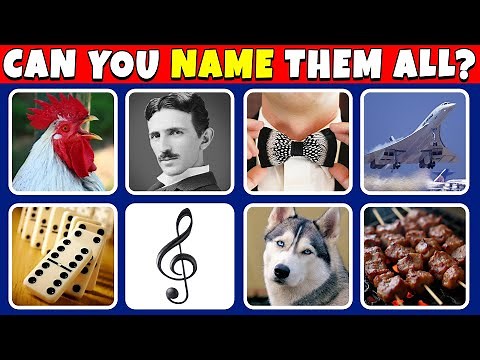 Picture Quiz: Can You Name Them All? 😀 101 Questions