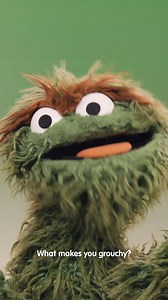 Do you want to know what makes me grouchy? You really want to know?Are you sure you want to know?EVERYTHING makes me grouchy!!! #GiftofGiggles | Oscar the Grouch