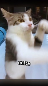 14K views · 17K reactions | Time to cleanse the negative energy...