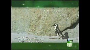 Day 1 of my 12 Days of Christmas: Back in 2005, the team at Animal Planet took my rendition of “I’ll Be Home for Christmas” and turned it into an adorable holiday message for their viewers. As someone who treasures animals, home, family and being with loved ones at Christmas, I really liked the storyline. Enjoy. | Linda Eder
