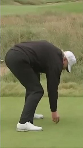 TRUMP and IBS Allegations 🤢 💩 🤣 😂