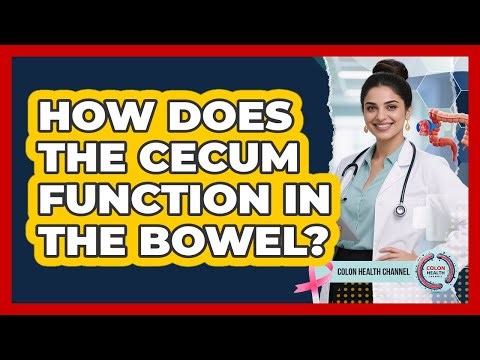 How Does The Cecum Function In The Bowel?