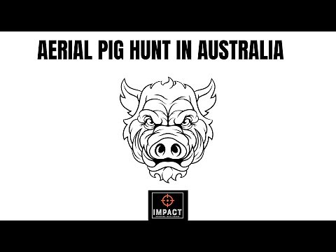 AERIAL PIG HUNTING IN AUSTRALIA