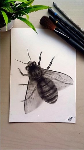 Realistic Bee Drawing #shorts #bee #realistic #charcoal #drawing #art #trending #diy #subscribe