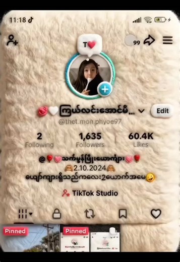 Wool Filter Tutorial for Hypic App