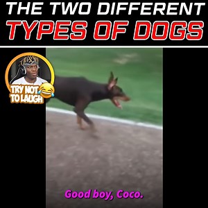 Which one are you 😂 | K.S.I