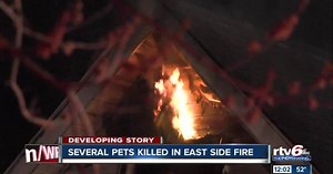 Firefighters use pet oxygen masks after fire