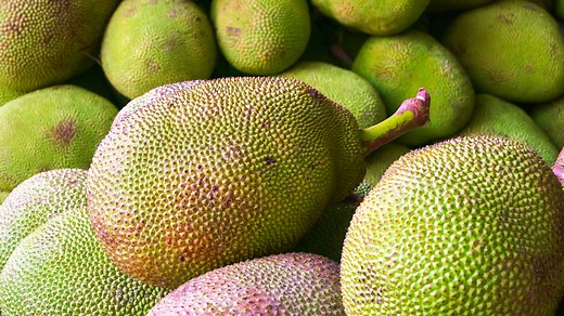 What is jackfruit and how to cook it