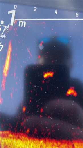 Exploring Animals in Their Natural Habitat