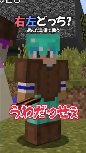 右左どっち？選んだ装備で戦う！【マイクラ / マインクラフト】#shorts