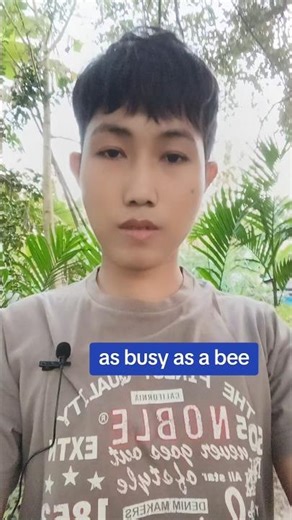 Learn how to use the idiom " as busy as a bee!!!