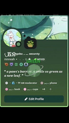 สีสันในการตกแต่งโปรไฟล์ Discord