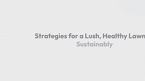 Eco-friendly lawn solutions