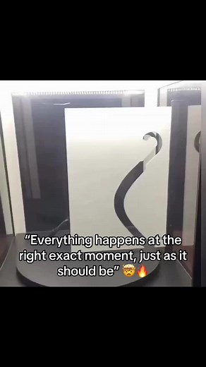 Optical Illusion Explained: How Is This Possible?!