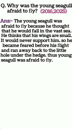 Why was the young seagull afraid to fly #viral short