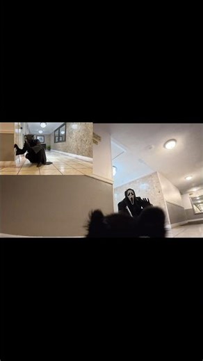 Ghostface Prank on Our Toy Pomeranian 🤣🤣🤣