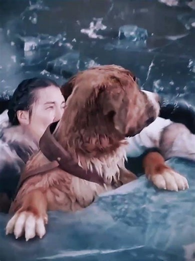 Le Meilleur Ami De L'Homme #shorts #film #edit