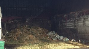 Eugene one step closer to city-wide curbside food waste collection