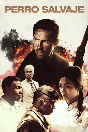 Perro salvaje | Películas y Series La Vanguardia
