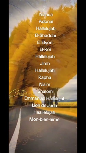 Yeshua,Adonai, El-Shaddaï, El Elyon, El-Roi, Jireh , Rapha, Nisim, Shalom,Emmanuel, Lion de Juda