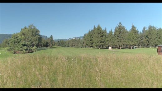 Royal Bled Golf on Reels