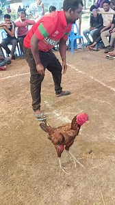 #asell_alm_2025challenge #reelschallengereelschallenge #lschallengereelschallenge #reelsviralシfb # #reelschallenge #photographychallengeraphychallenge #elschallenge #asia #asmrsounds #re | Tufayel Ahmed