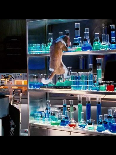 #TikTokFilmTVCompetition #filmbreaker #moviereview #usmovies | Movie Reviews