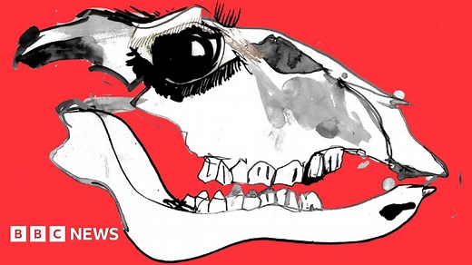 Confessions of a slaughterhouse worker