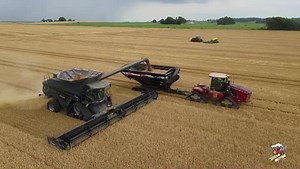 2.3K views · 182 reactions | In less than 30 minutes the full video will be up on my YouTube channel. #harvest21 #farm #farmhandmike #wheat #wheatharvest #versatile #instagood #youtube | Farmhand Mike | Facebook