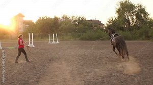 Female rider trains a horse at a racetrack holding her by the reins. Slow motion. Woman hold horse on leash while running in circle. Training a horse.