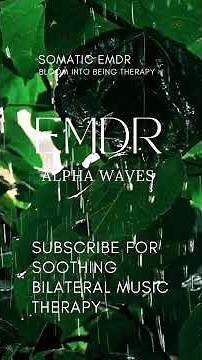 5-Min EMDR Music Meditation for Vagus Nerve Toning | Bilateral Beats & Rain Sounds for Peace