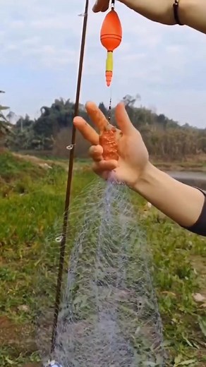 Fishing Techniques for a Successful Day on the Water